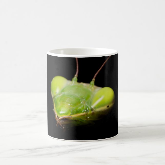 Taza De Café Mantis rezando (Centro)