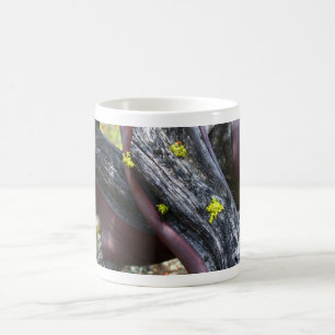 Taza De Café Manzanita Mug