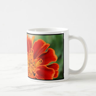 Taza De Café Maravilla