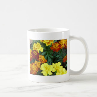 Taza De Café maravillas