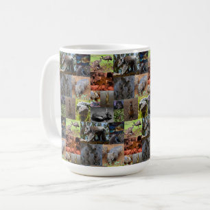 Taza De Café Maravillas salvajes: cautivando el Collage de foto