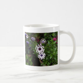 Taza De Café Margarita africana blanca