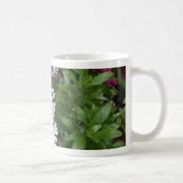 Taza De Café Margarita africana blanca