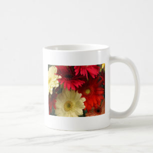 Taza De Café Margaritas africanas de la taza, rojas y