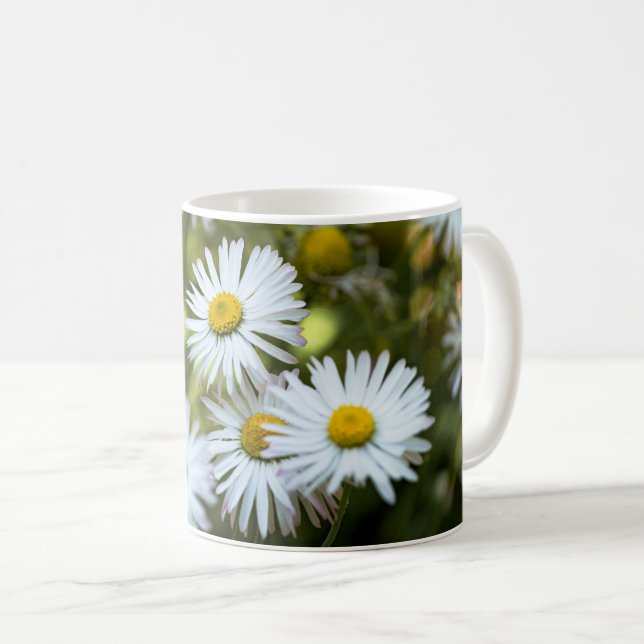 Taza de café - Margaritas en flor (Anverso derecho)