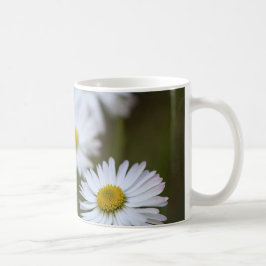 Taza De Café Margaritas Flor Floral Naturaleza Fotografía
