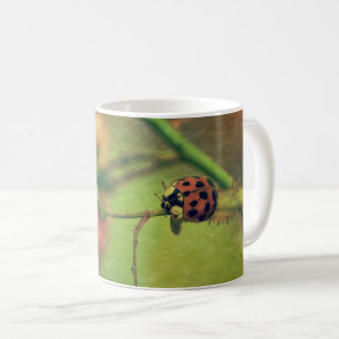 Taza De Café Marienkäfer en der Natur