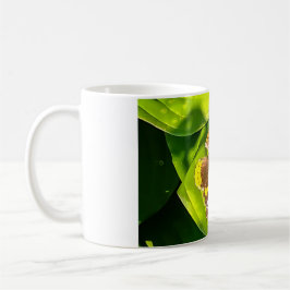 Taza De Café Mariposa al sol
