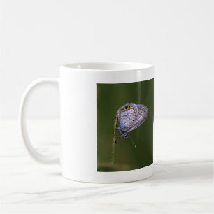 Taza De Café Mariposa azul marina