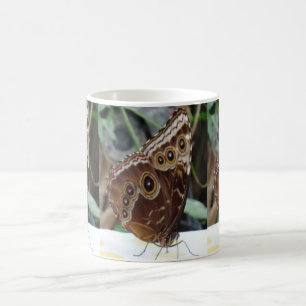 Taza De Café Mariposa Café Blanco Mug