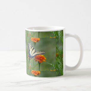Taza De Café Mariposa cola de golondrina tigre oriental hembra