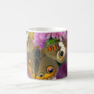 Taza De Café Mariposa de Buckeye común