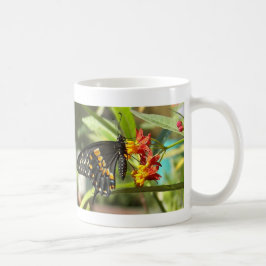 Taza De Café Mariposa de cola cruda negra#2-mug