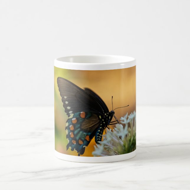 Taza De Café Mariposa de cola de cereal (Centro)