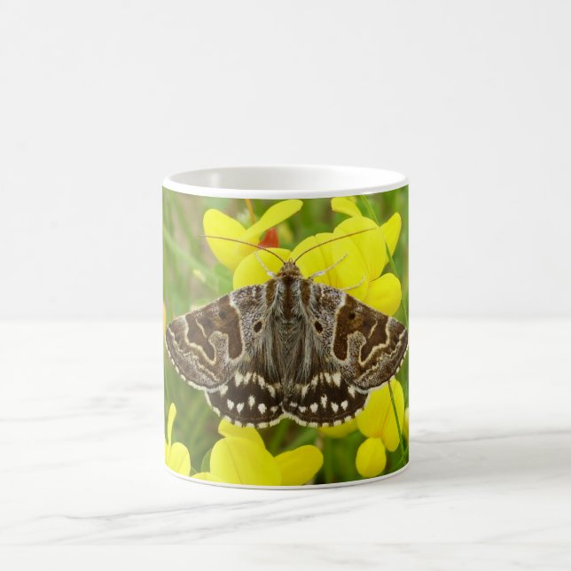 Taza De Café Mariposa de Madre Shipton Bug Mug (Centro)
