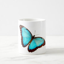 Mariposa de Morfo Azul