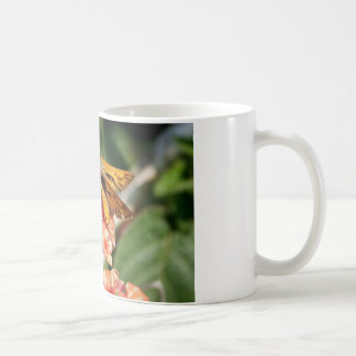 Taza De Café Mariposa del capitán