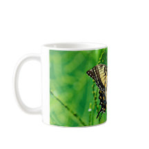 Mariposa del este de Swallowtail del tigre