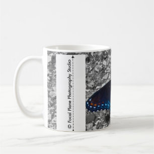 Taza De Café Mariposa en el hormigón