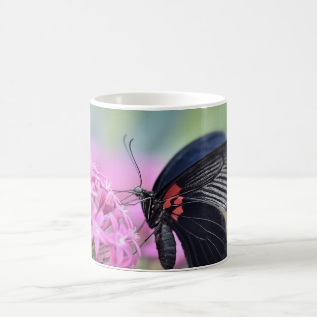 Taza De Café Mariposa en flor (Centro)