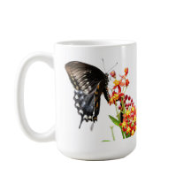 Mariposa en flor de leche, en blanco