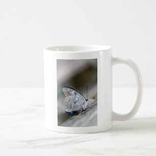 Taza De Café Mariposa Gris Azul