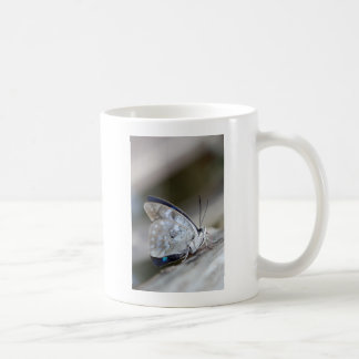 Taza De Café Mariposa Gris Azul