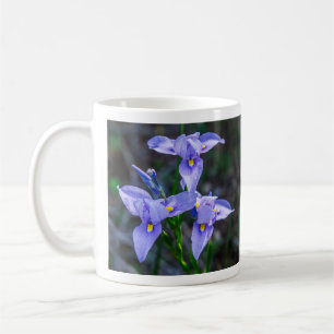 Taza De Café Mariposa Iris Mug