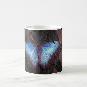 Taza De Café Mariposa morfa común