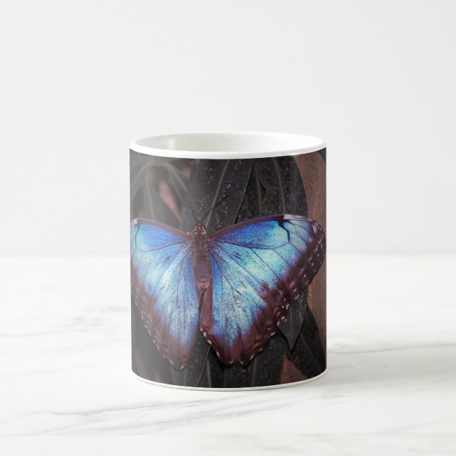 Taza De Café Mariposa morfa común (Centro)
