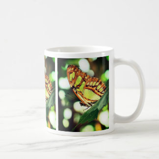Taza De Café Mariposa observando la naturaleza