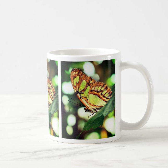 Taza De Café Mariposa observando la naturaleza (Derecha)
