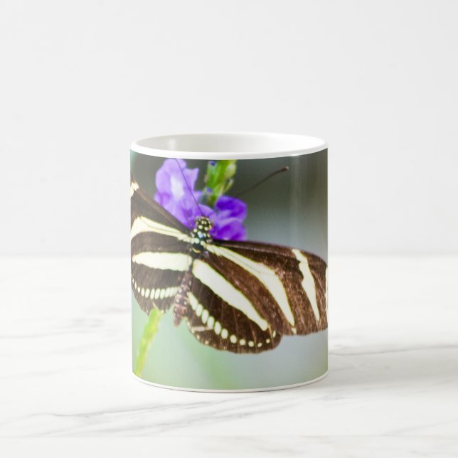 Taza De Café Mariposa rayada de la cebra (Centro)