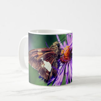 Taza De Café Mariposa Señora Pintada En Flor De Aster Salvaje