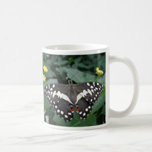 Taza De Café Mariposa y flores de limón