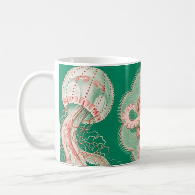 Taza De Café Marisco, Discomedusae de Ernst Haeckel (Izquierda)