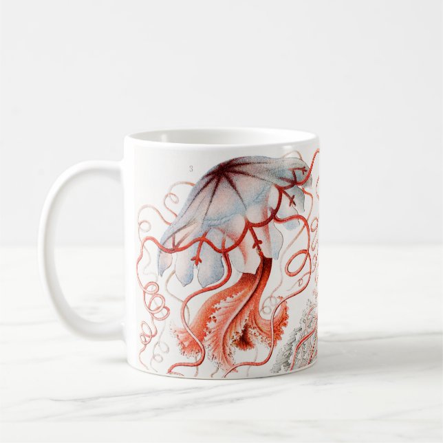 Taza De Café Marisco, Discomedusae de Ernst Haeckel (Izquierda)