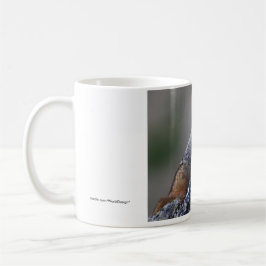 Taza De Café Marmota
