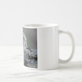Taza De Café Marmota