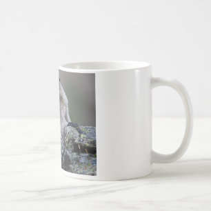 Taza De Café Marmota