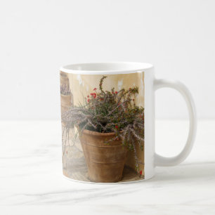 Taza De Café Masa de cactti en el Mediterráneo ruso