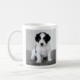 Taza De Café Mascota personalizado Foto 2024 Calendario Café Mu