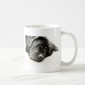 Taza De Café Mastín napolitano
