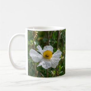 Taza De Café Matilija Poppy Mug