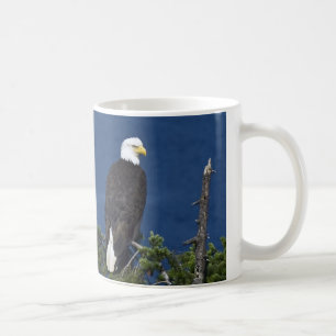 Taza De Café Matura de águila calva en árbol de aves