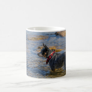 Taza De Café "Maximus" Café Heeler azul Mug