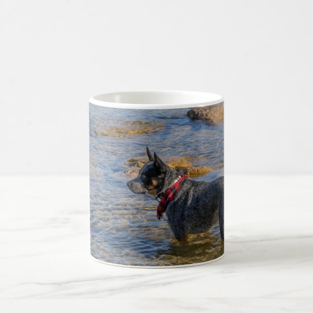 Taza De Café "Maximus" Café Heeler azul Mug (Centro)
