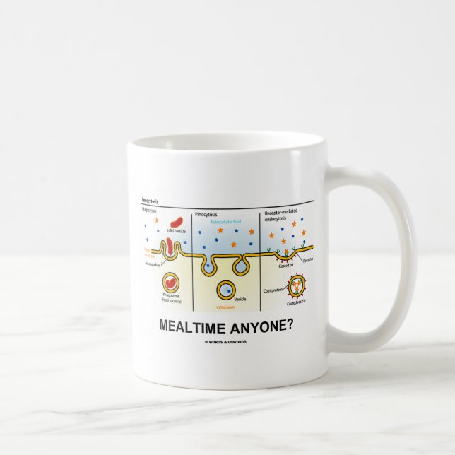 Taza De Café ¿Mealtime cualquier persona? (Humor de la (Derecha)