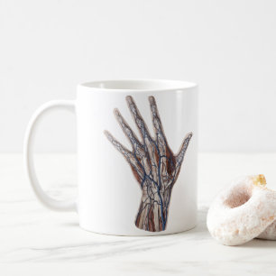 Taza De Café Medicina Vintage, Anatomía Humana Dedos de la Mano