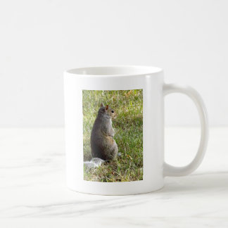 Taza De Café Meditaciones de la ardilla